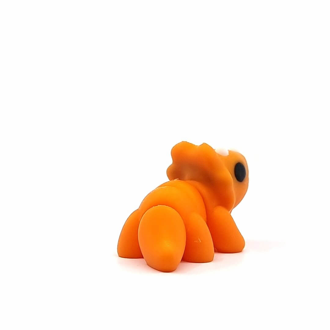 Baby Triceratops Baby Triceratops