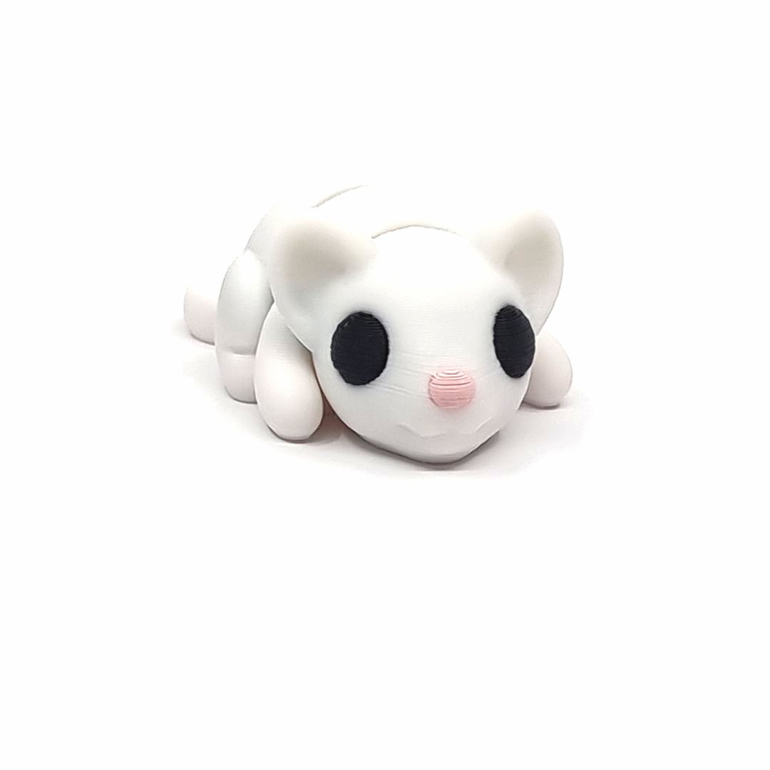 Maus