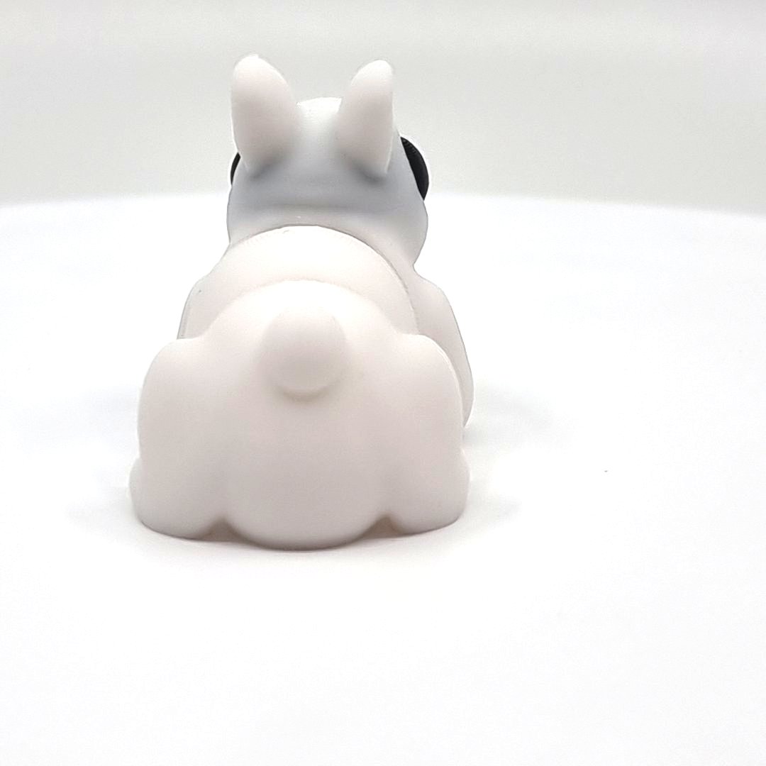 Hase