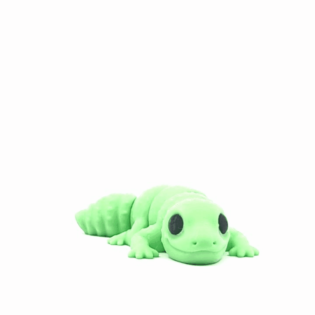 Leopard Gecko