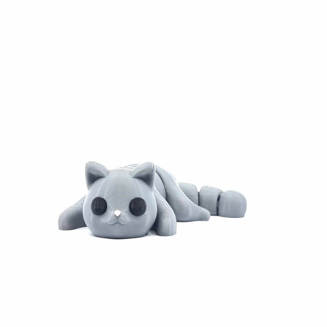 Katze