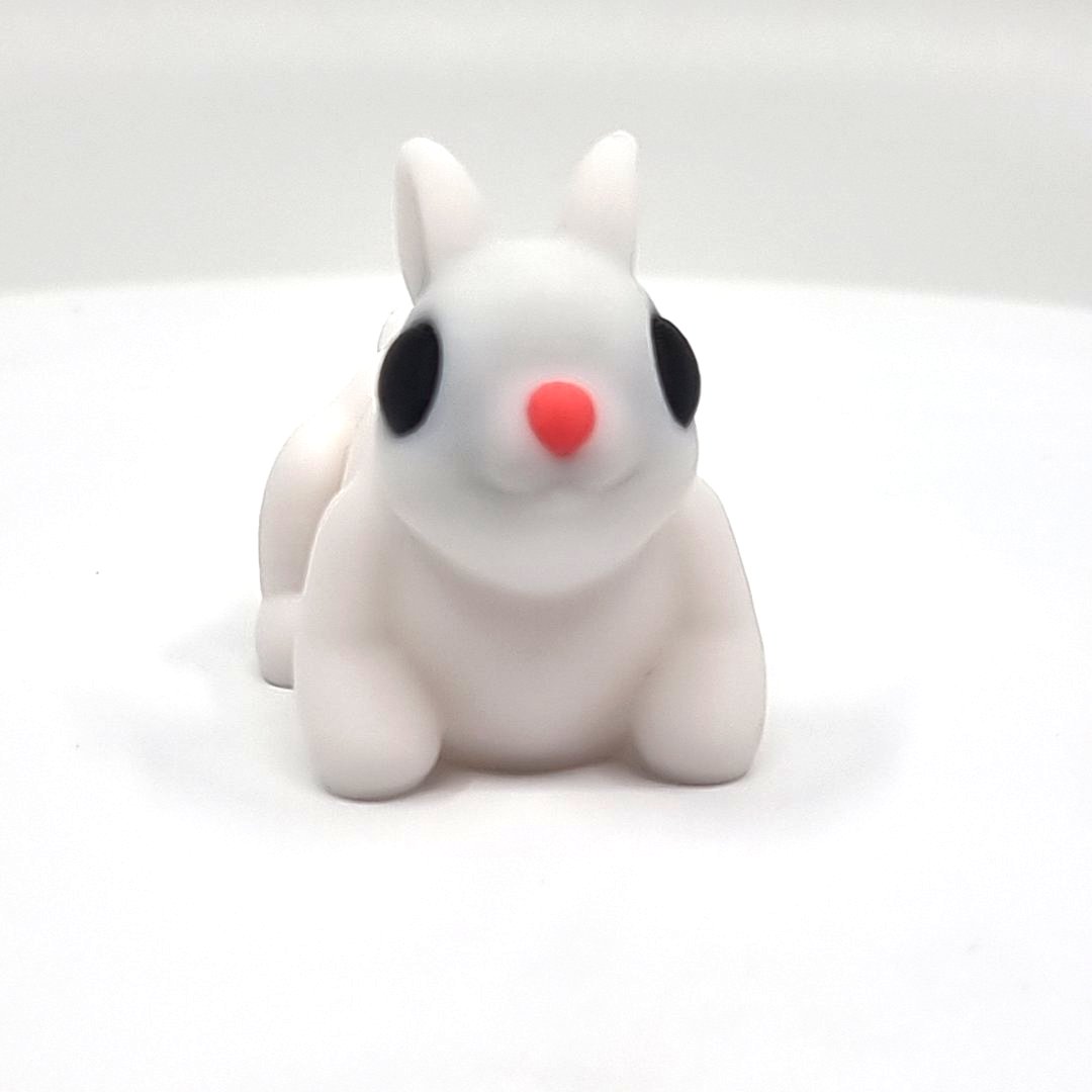 Hase