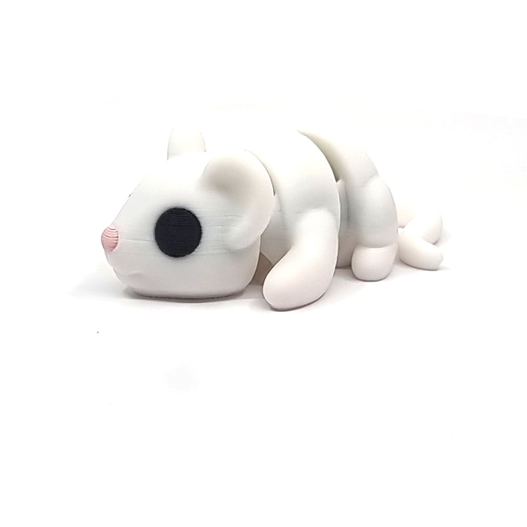 Maus